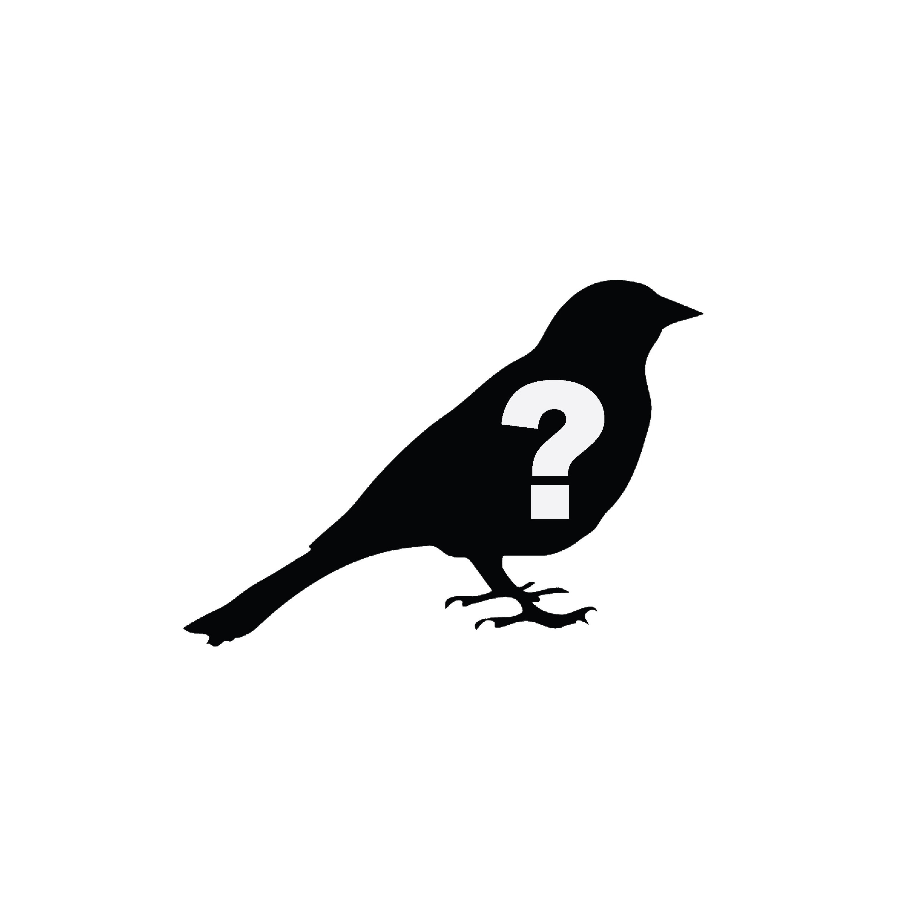 “What’s that bird?” - logo